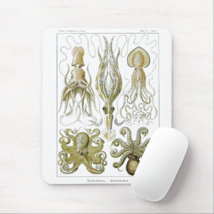 Ernst Haeckel Gamochonia Octopus & Squid Mouse Pad