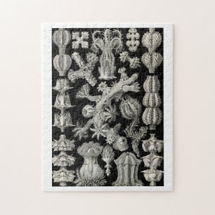 Ernst Haeckel Gorgonia Jigsaw Puzzle