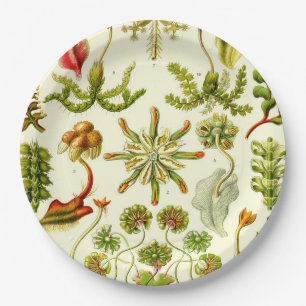Ernst Haeckel Hepaticae Paper Plate