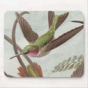 Ernst Haeckel Hummingbird Mouse Pad