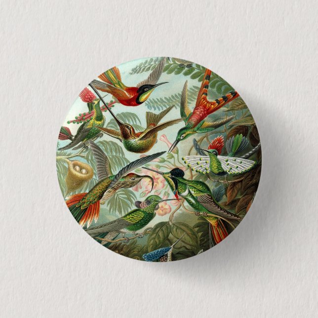 Ernst Haeckel Hummingbirds - Art Forms of Nature 3 Cm Round Badge (Front)