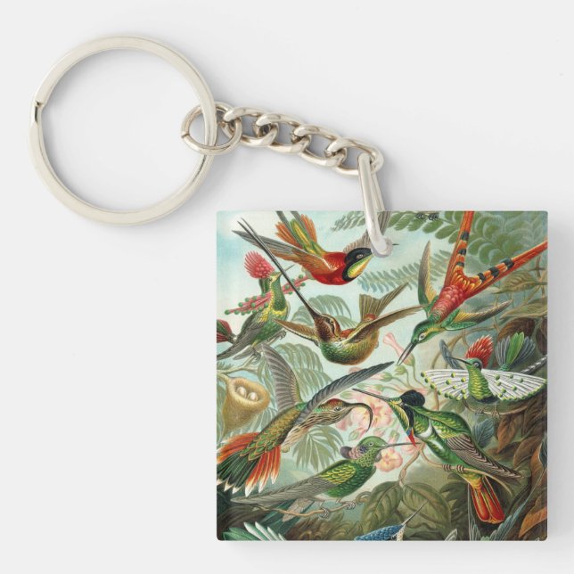 Ernst Haeckel Hummingbirds - Art Forms of Nature Key Ring (Front)