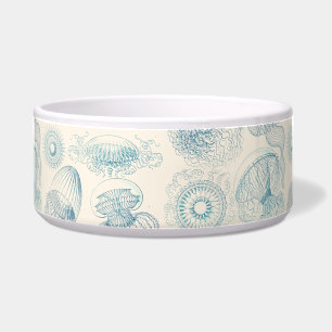 Ernst Haeckel Jellyfish Vintage Science Art