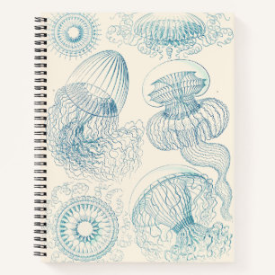 Ernst Haeckel Jellyfish Vintage Science Art Notebook