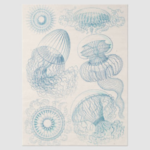 Ernst Haeckel Jellyfish Vintage Science Art Tissue Paper