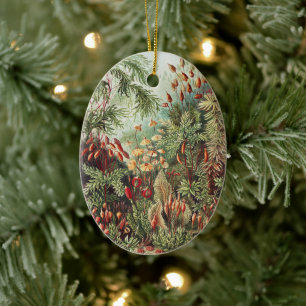 Ernst Haeckel Moss Nature Print Dark Academia Ceramic Ornament