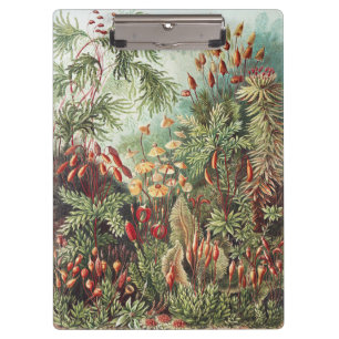 Ernst Haeckel Moss Nature Print Dark Academia Clipboard