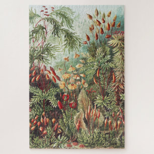Ernst Haeckel Moss Nature Print Dark Academia Jigsaw Puzzle