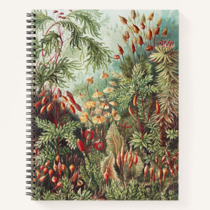 Ernst Haeckel Moss Nature Print Dark Academia Notebook