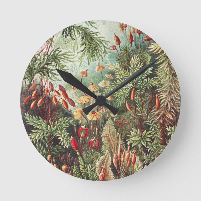 Ernst Haeckel Moss Nature Print Dark Academia Round Clock (Front)