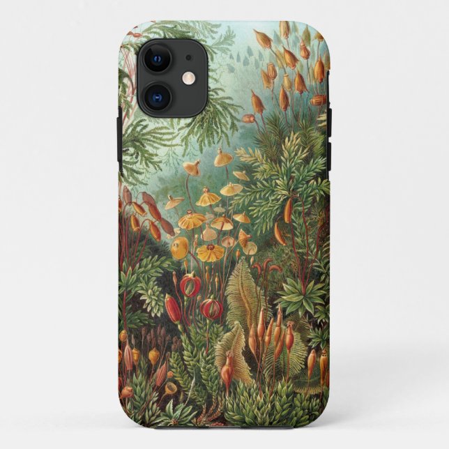 Ernst Haeckel - Muscinae Case-Mate iPhone Case (Back)