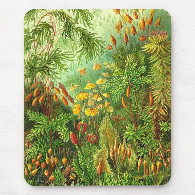 Ernst Haeckel - Muscinae Mouse Pad (Front)