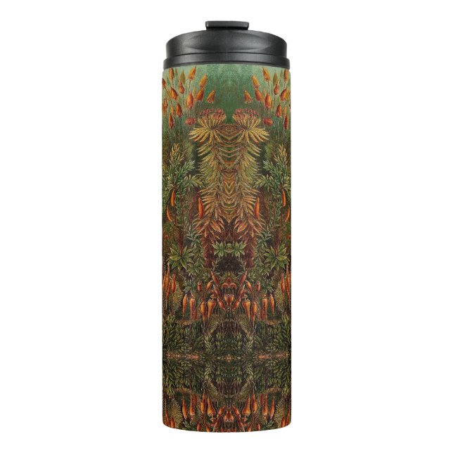 Ernst Haeckel Muscinae vintage illustration Thermal Tumbler (Front)