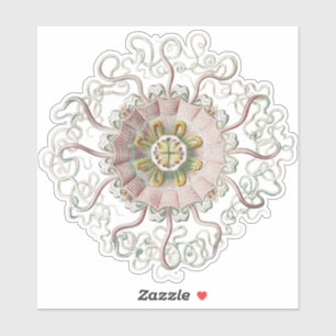 Ernst Haeckel Nautical Pink Jellyfish Medusa