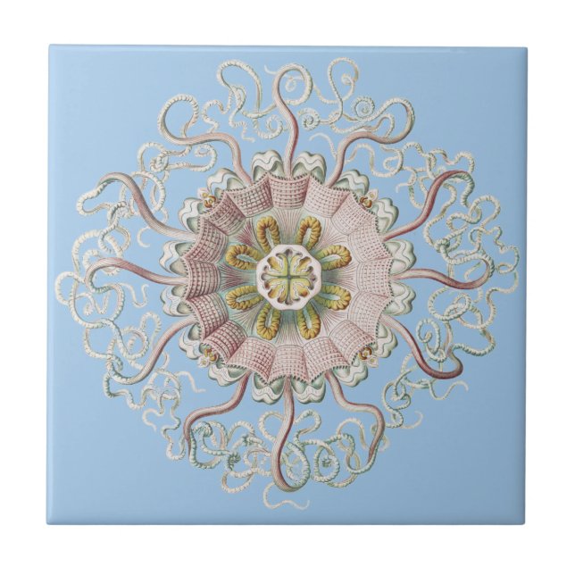 Ernst Haeckel Nautical Pink Jellyfish Medusa Ceramic Tile (Front)
