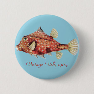 Ernst Haeckel Nautical Red Boxfish Sea Life 6 Cm Round Badge