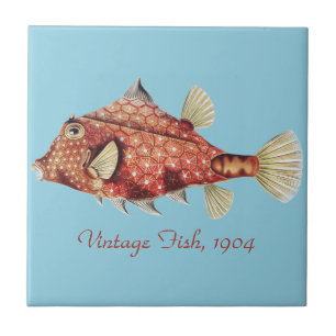 Ernst Haeckel Nautical Red Boxfish Sea Life Ceramic Tile