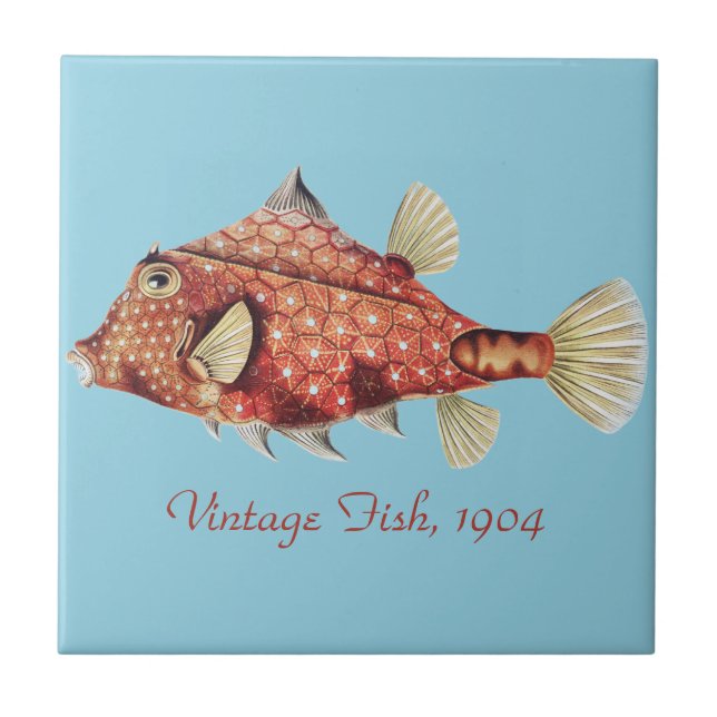 Ernst Haeckel Nautical Red Boxfish Sea Life Ceramic Tile (Front)