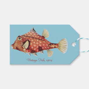 Ernst Haeckel Nautical Red Boxfish Sea Life Gift Tags