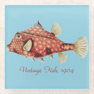 Ernst Haeckel Nautical Red Boxfish Sea Life Glass Coaster
