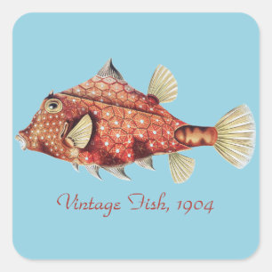 Ernst Haeckel Nautical Red Boxfish Sea Life Square Sticker