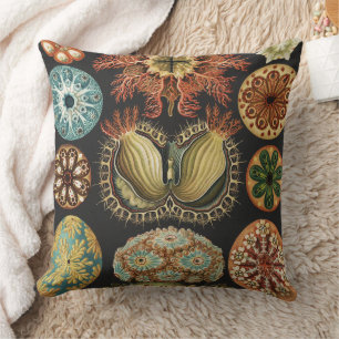 Ernst Haeckel Nautical Sea Life Art Collage Cushion