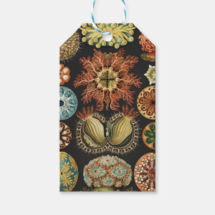 Ernst Haeckel Nautical Sea Life Art Collage Gift Tags