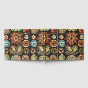 Ernst Haeckel Nautical Sea Life Art Collage Guest Book