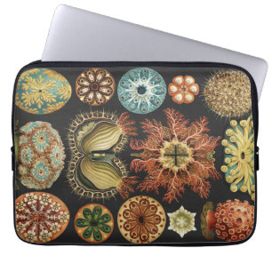 Ernst Haeckel Nautical Sea Life Art Collage Laptop Sleeve