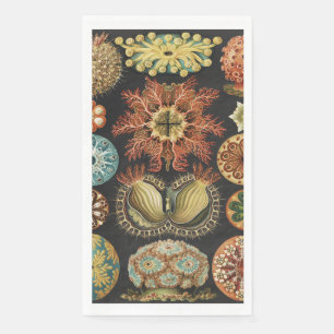 Ernst Haeckel Nautical Sea Life Art Collage Napkin