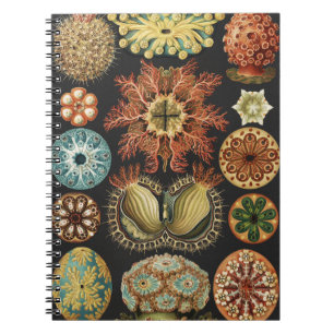 Ernst Haeckel Nautical Sea Life Art Collage Notebook