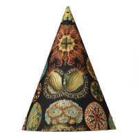 Ernst Haeckel Nautical Sea Life Art Collage