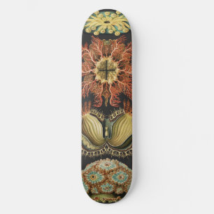 Ernst Haeckel Nautical Sea Life Art Collage Skateboard