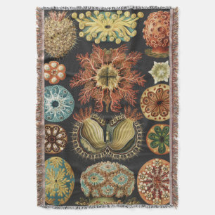 Ernst Haeckel Nautical Sea Life Art Collage Throw Blanket