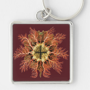 Ernst Haeckel Nautical Tunicate Red Sea Life Art Key Ring