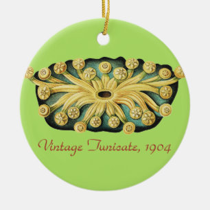 Ernst Haeckel Nautical Yellow Sunburst Art Ceramic Ornament