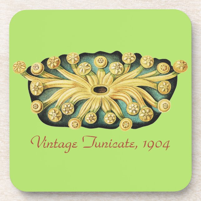 Ernst Haeckel Nautical Yellow Sunburst Art Coaster (Front)