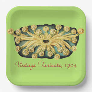 Ernst Haeckel Nautical Yellow Sunburst Art Paper Plate