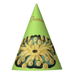 Ernst Haeckel Nautical Yellow Sunburst Art Party Hat