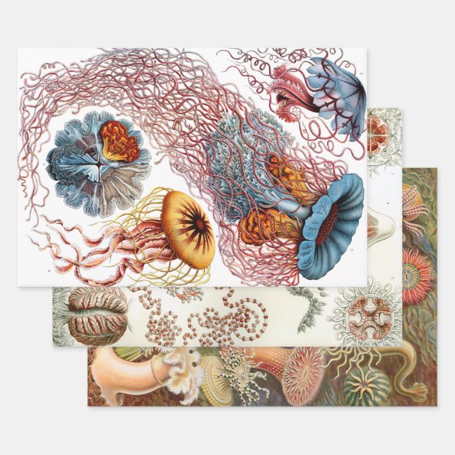 Ernst Haeckel Ocean Wrapping Paper Sheets (Set)