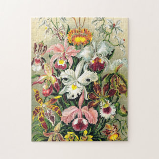 Ernst Haeckel - Orchids Jigsaw Puzzle