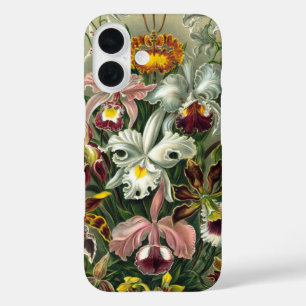 Ernst Haeckel Orchids, Vintage Rainforest Flowers iPhone 16 Case