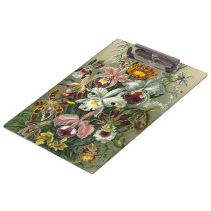 Ernst Haeckel Orchids, Vintage Rainforest Flowers Clipboard