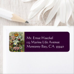 Ernst Haeckel Orchids, Vintage Rainforest Flowers Return Address Label