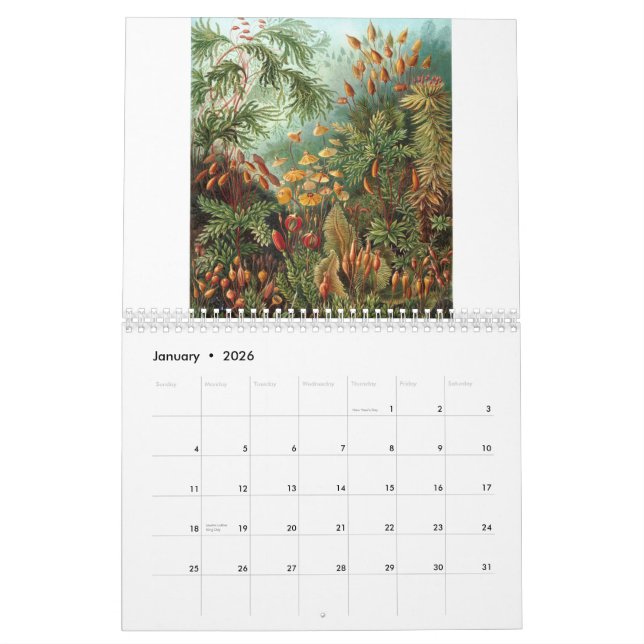 Ernst Haeckel Prints Calendar (Jan 2026)