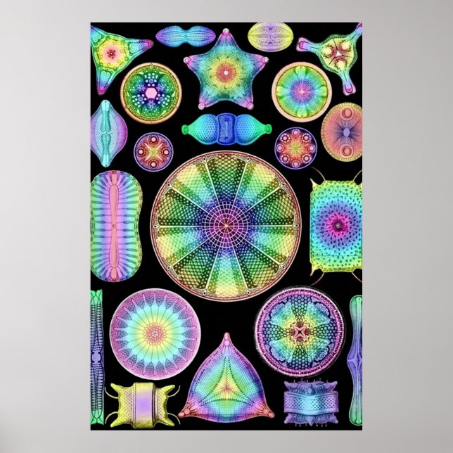 Ernst Haeckel Rainbow Diatoms Poster (Front)