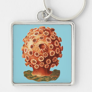 Ernst Haeckel Red Coral Nautical Sea Life Key Ring