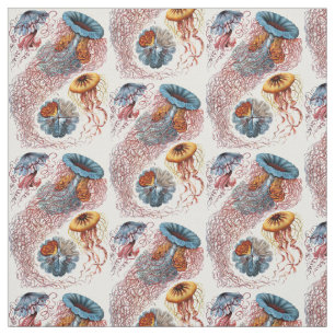 Ernst Haeckel’s Discomedusae Fabric