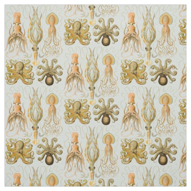 Ernst Haeckel’s Gamochonia Fabric (Swatch)