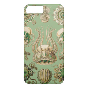 Ernst Haeckel’s Narcomedusae iPhone 8 Plus/7 Plus Case